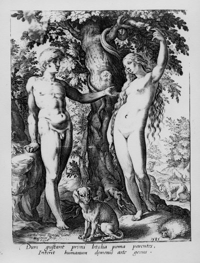 Adam och Eva, graverad av Hendrik Goltzius, 1585 av Bartholomaeus Spranger
