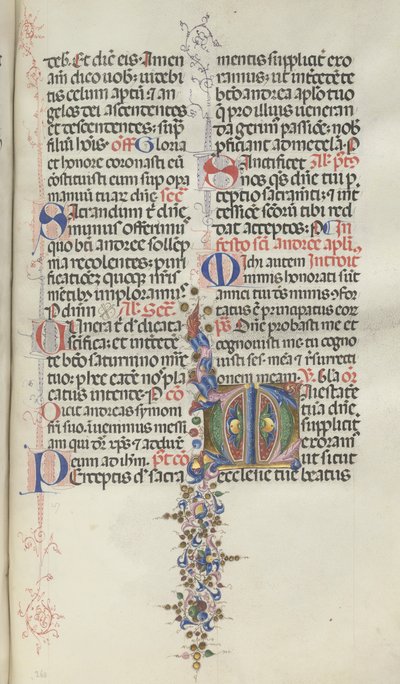 Missale: Fol. 260: Lövverk med frukt, 1469 av Bartolomeo Caporali