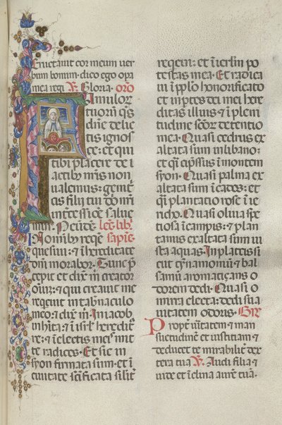 Missale: Fol. 306: Jungfruns antagande, 1469. av Bartolomeo Caporali