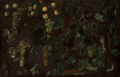 Vinrankor och frukt, med tre vipstjärtar, ca. 1615-18. av Bartolomeo Cavarozzi