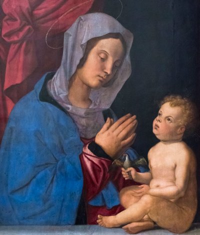 Madonna och barn, ca 1503 (olja på träpanel) av Bartolomeo Montagna