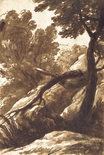 Skogbevuxen landskap av Bartolomeo Torregiani