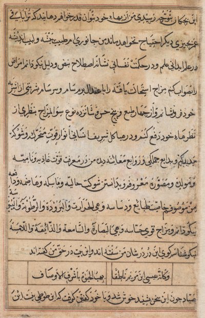 Sida från Tales of a Parrot Tuti-nama: textsida, ca. 1560. av Basavana