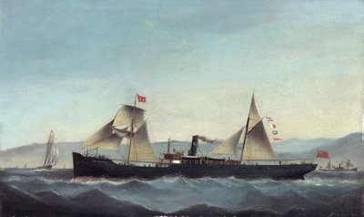 S.S. Glanrheidol av Basi Ivancovich