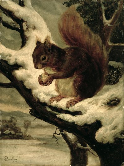 En röd ekorre som äter en nöt (olja på kvarnbräda) av Basil Bradley