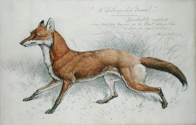 "En framstående general" av Basil J. Nightingale