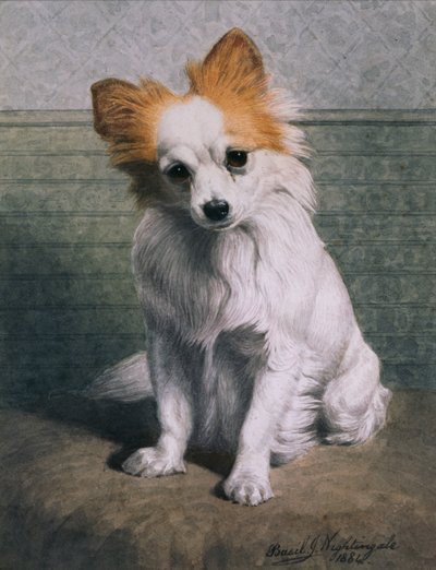 Leksakshund av Basil J. Nightingale