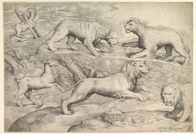 Sex djur, inklusive lejon, en tiger, en leopard, en griffin och en get, ca. 1530-61. av Battista Franco Veneziano