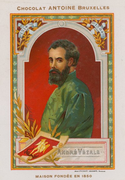 Andreas Vesalius, flamländsk anatom och läkare från 1500-talet av Belgian School