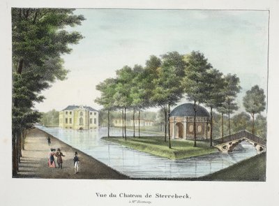 Utsikt över Chateau de Sterrebeck, ca 1895 (photochrom) av Belgian School