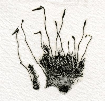 Budding Moss, 2014, (trägravyr på gampi) av Bella Larsson