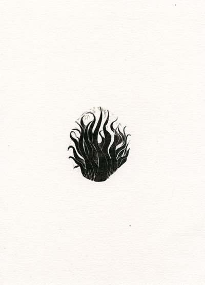 Fire, 2017, (trägravyr på papper) av Bella Larsson