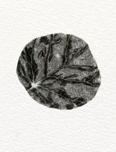 Leaf, 2014, (trägravyr på papper) av Bella Larsson