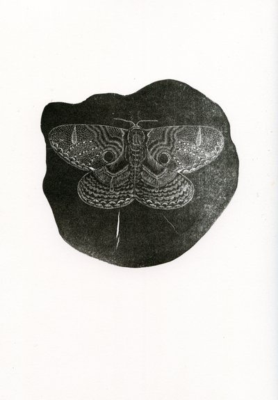Night Butterfly, 2016, (trägravyr på papper) av Bella Larsson