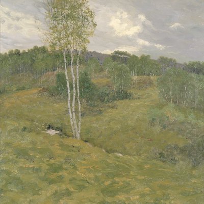 Björkpläterade kullar av Ben Foster