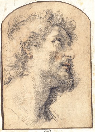 Studie av huvudet av Saint Crispin av Benedetto Luti