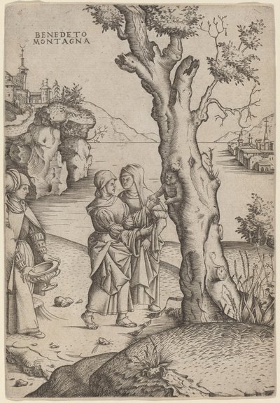 Adonis födelse av Benedetto Montagna