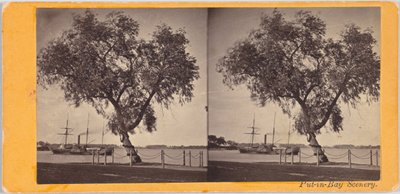 Pilträd. Planterad av Com. Perry och andra överlevande från slaget vid Lake Erie, för att markera begravningsplatsen för de dödade. av Benedict