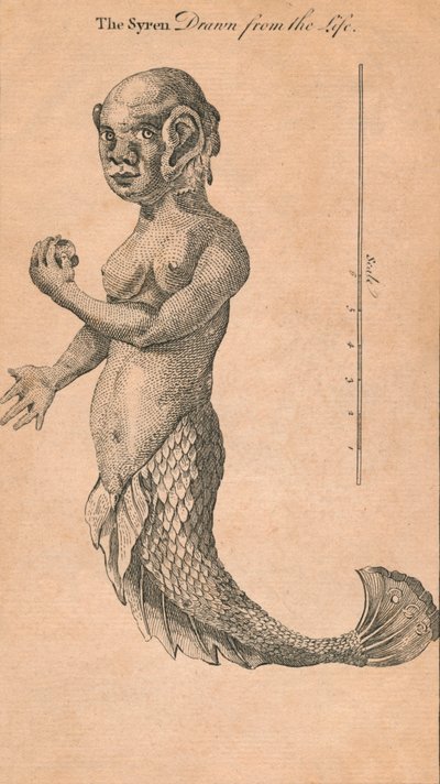 The Syren Drawn from the Life, 1759 av Benjamin Cole