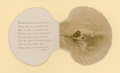 Illustration till häftet med titeln Sea Shells (color litho) av Benjamin D. Sigmund