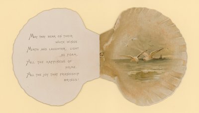 Illustration till häftet med titeln Sea Shells (color litho) av Benjamin D. Sigmund