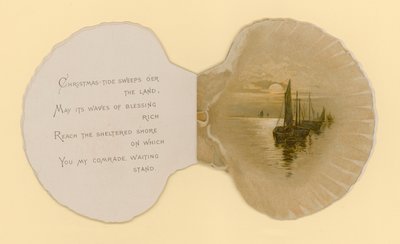 Illustration till häftet med titeln Sea Shells (color litho) av Benjamin D. Sigmund
