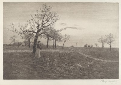 Efterglöd av Benjamin Lander