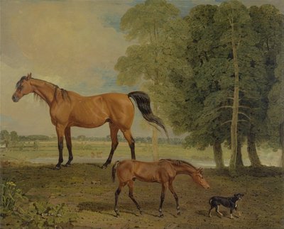 Avelssto med föl och terrier (olja på duk) av Benjamin Marshall