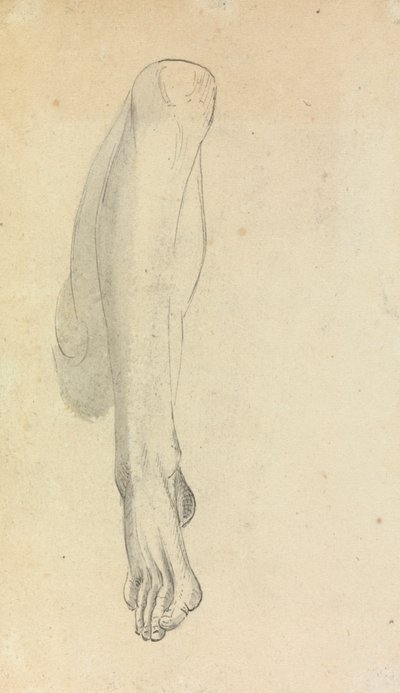 swedish av Benjamin Robert Haydon