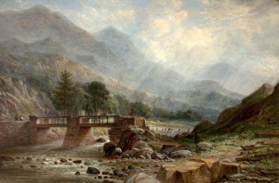 Nära Beddgelert av Benjamin Shipham