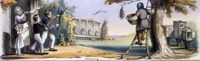 Svärmande, från biet i grafiska illustrationer av djur - visar deras nytta för människan i deras anställning under livet och användningen efter döden, ca 1845 av Benjamin Waterhouse Hawkins