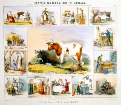 Kon, c1850 av Benjamin Waterhouse Hawkins