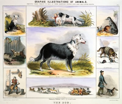 Hunden, c1850 av Benjamin Waterhouse Hawkins