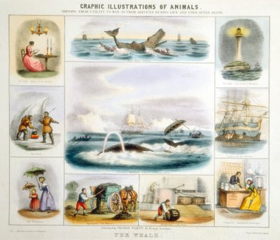 The Whale, c1850 av Benjamin Waterhouse Hawkins