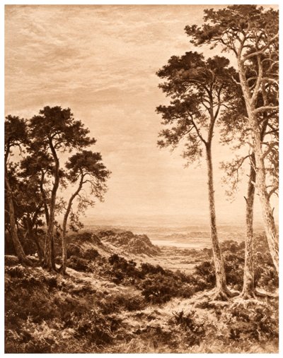 Solnedgång efter regn, 1903 av Benjamin Williams Leader