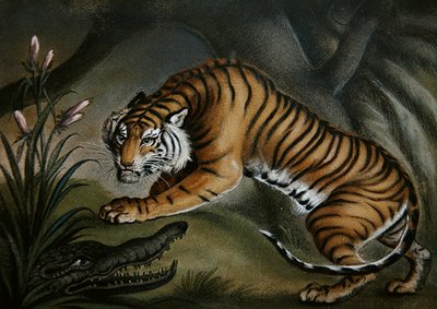 Tiger och krokodil, ca 1810 (sandbild ombord) av Benjamin Zobel