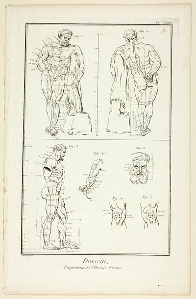 Design: Proportioner av Farnese Hercules, från Encyclopédie av Benoit Louis Prevost