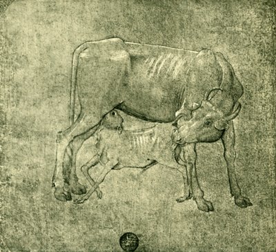 Ko och kalv, mitten av slutet av 1400-talet, 1943. av Benozzo Gozzoli