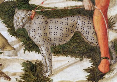 Leopard spänner sig i koppel, detalj från Journey of the Magi-cykeln i kapellet, ca 1460 freskdetalj av 70601 av Benozzo di Lese di Sandro Gozzoli
