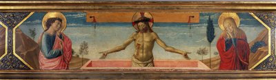 Okänd bild av Benozzo di Lese di Sandro Gozzoli