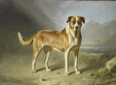 En Sankt Bernhardshund av Bernard te Gempt