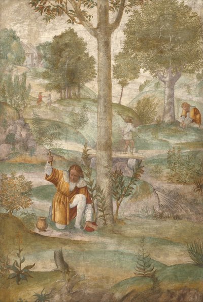 Kefalos gömmer juvelerna av Bernardino Luini