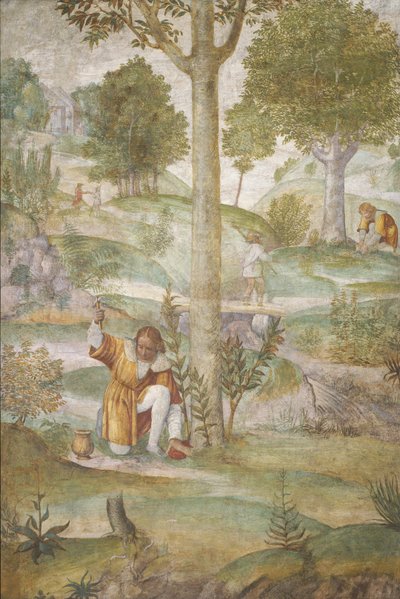 Cephalus gömmer juvelerna, ca. 15201522. av Bernardino Luini