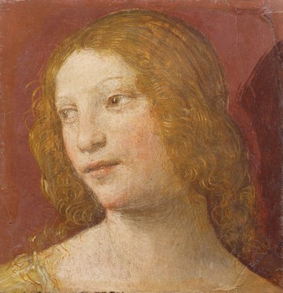 Chef för en ung kvinna av Bernardino Luini