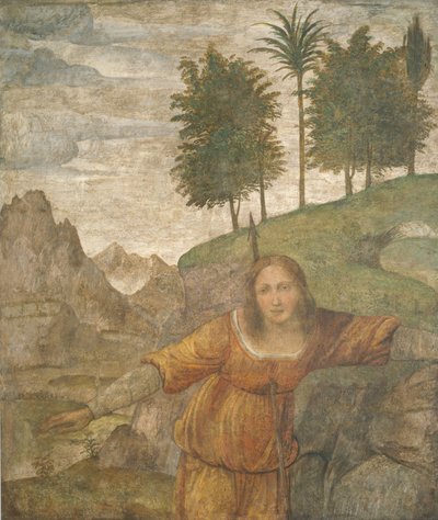 Prokris genomborrad av Kefalos spjut av Bernardino Luini