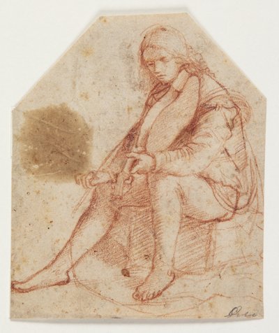 Sittande ungdom med altfiol av Bernardino Luini
