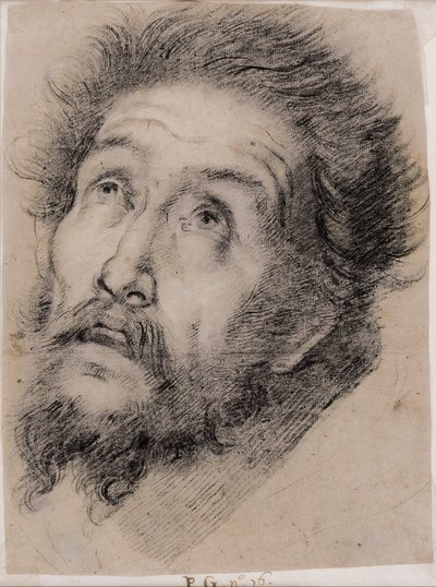 Studie för S:t Franciskus av Assisi som tillber korset av Bernardo Strozzi