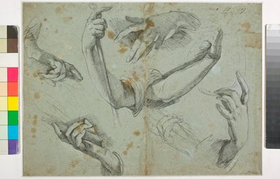 Okänd bild av Bernardo Strozzi