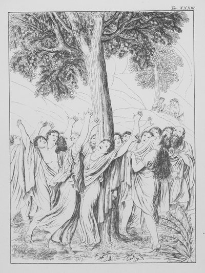 Dantes gudomliga komedi, Purgatorio (Skärselden), plansch XXXIII (litografi) av Bernhard Schuler