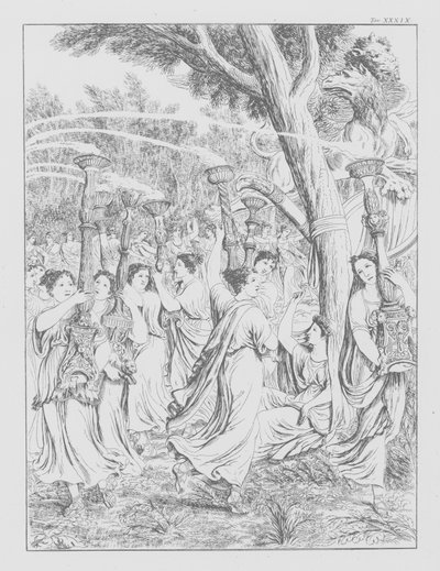 Dantes gudomliga komedi, Purgatorio (Skärselden), plansch XXXIX (litografi) av Bernhard Schuler